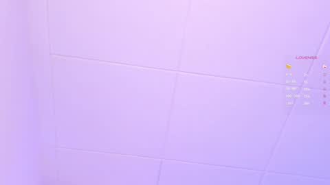 Snapshot of miss_sofiaa_ chatting on January 2025 11:41:02 AM Sofia Castro online show from January 2025 11:41:02 AM