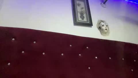 Snapshot of missbellerina chatting on February 2026 09:16:01 PM Missbelle online show from February 2026 09:16:01 PM