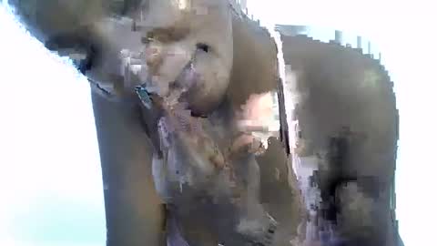 sexy online show from January 2026 10:30:01 AM