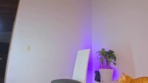 misspaulag online show from February 2025 12:41:01 AM