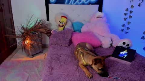 Snapshot of misstexass_ chatting on December 2024 06:06:01 PM  Natalie Texass indepedent model online show from December 2024 06:06:01 PM