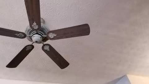 BobbyMitchGa online show from February 2025 03:40:01 PM