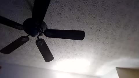 BobbyMitchGa online show from September 2025 10:28:01 AM