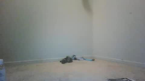 Snapshot of mix_it_up chatting on January 2025 07:07:01 PM mix_it_up online show from January 2025 07:07:01 PM