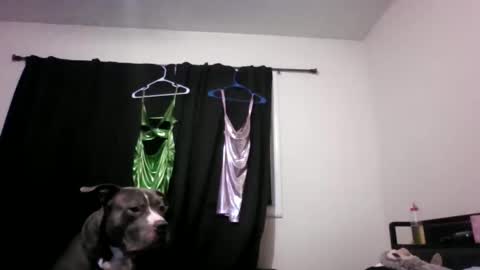 Snapshot of miztrezk chatting on May 2026 02:08:02 AM miztrezk online show from May 2026 02:08:02 AM