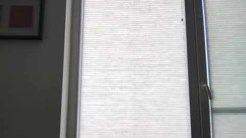 mko88951 online show from April 2026 10:50:02 AM