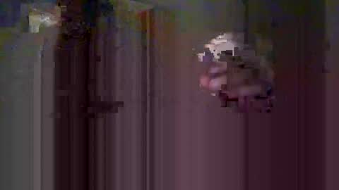 mmiltos online show from February 2026 05:28:02 PM