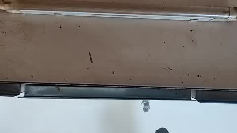 camilo online show from September 2025 12:08:02 PM