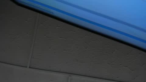 Hey Guys  Im Mollie online show from February 2026 11:47:02 AM