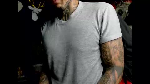 Snapshot of molotov_explosive chatting on February 2026 10:08:01 PM Molotov online show from February 2026 10:08:01 PM