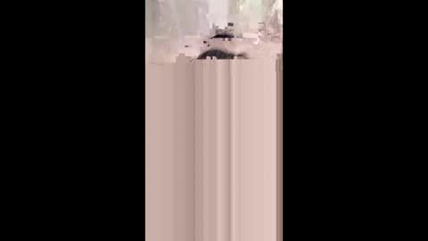 Snapshot of monicahmuchira49 chatting on January 2026 12:29:02 PM shirybeb online show from January 2026 12:29:02 PM