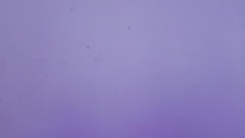 Winy online show from February 2026 11:18:01 AM