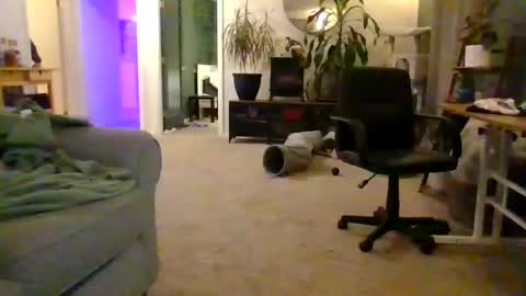 moonbutterfly94 online show from May 2026 10:36:01 AM