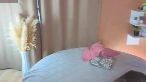 Trisha online show from September 2025 08:08:01 AM