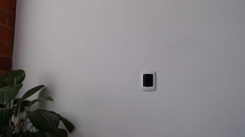 Abelardo online show from March 2026 03:44:02 PM