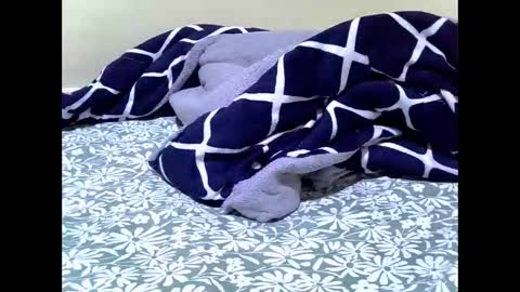 moriahlove online show from May 2026 06:41:02 AM