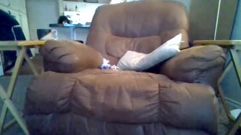 motodub online show from March 2025 04:00:02 PM