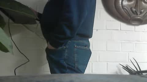 motofann2 online show from January 2025 11:26:02 AM