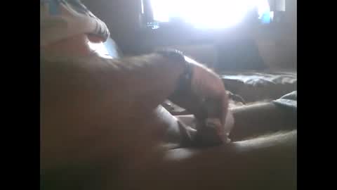 Snapshot of mowgli1977 chatting on December 2024 08:37:02 AM mowgli1977 online show from December 2024 08:37:02 AM