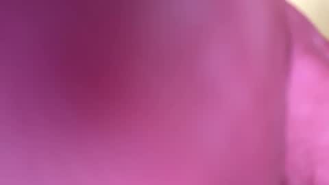 mr6ray online show from January 2025 03:40:02 AM