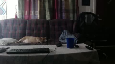 Snapshot of mr_happy12 chatting on September 2025 01:19:02 AM mr_happy12 online show from September 2025 01:19:02 AM