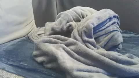 Snapshot of mranal93 chatting on February 2025 05:28:01 PM mranal93 online show from February 2025 05:28:01 PM