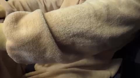 mrdelapampa online show from November 2025 11:55:02 AM