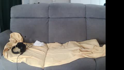 I am Hardy online show from December 2024 11:07:01 PM