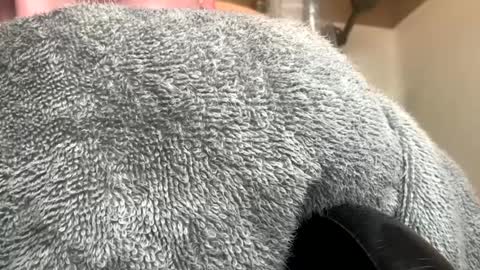 mrgetemoffme online show from September 2025 02:27:02 PM