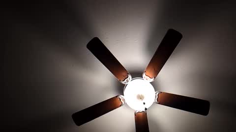 mrorange50187 online show from December 2024 10:21:01 PM