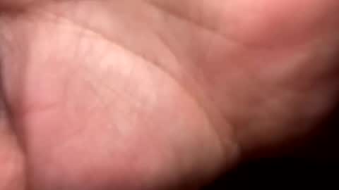 shawn online show from December 2025 09:20:01 PM