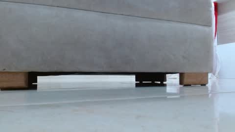 Tell me Katty  online show from January 2025 11:43:02 AM