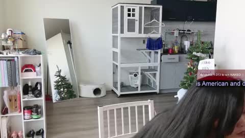 R o r i  SnapChat heyroriv2 wednesday - sunday Noon oclock mountain - 5pm mountain online show from November 2025 06:21:01 PM