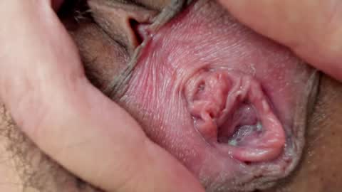 Annabelle  online show from January 2025 03:14:02 PM