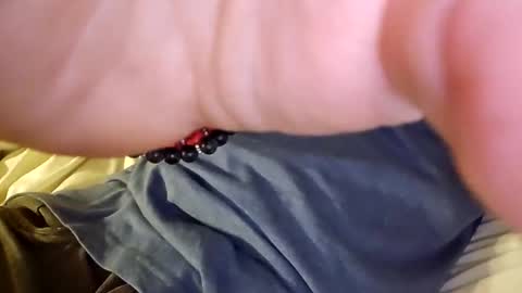 mtnclimber1 online show from November 2025 10:54:01 PM