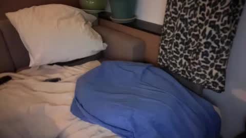 French Brown Cookies online show from April 2026 07:40:02 PM