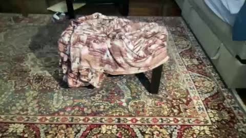 much_fun1 online show from February 2026 03:21:02 PM