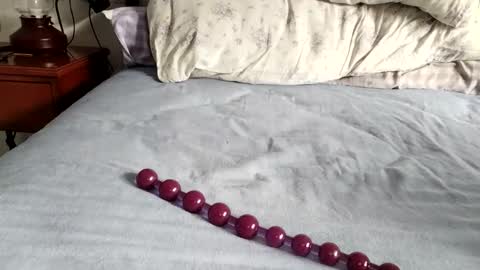 Laly online show from November 2025 08:36:02 AM