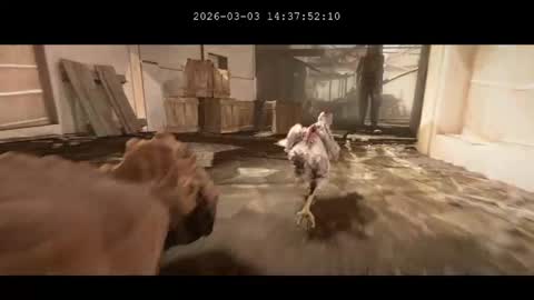 multitest101 online show from March 2026 10:37:02 PM