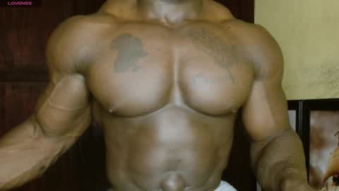 Snapshot of musclegodsammy23 chatting on February 2026 02:46:01 PM musclegod23 online show from February 2026 02:46:01 PM