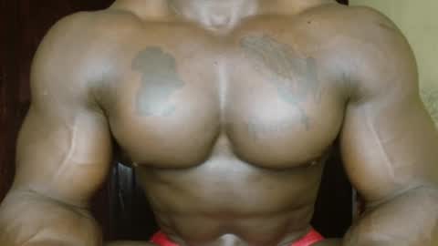 Snapshot of musclegodsammy23 chatting on February 2026 02:16:02 PM musclegod23 online show from February 2026 02:16:02 PM