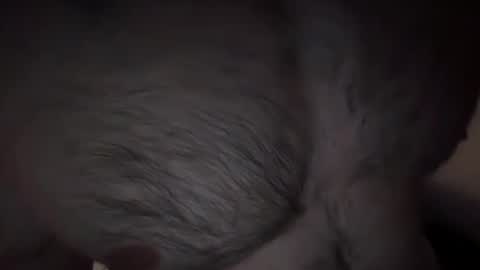 musclehair3 online show from February 2025 09:53:02 PM