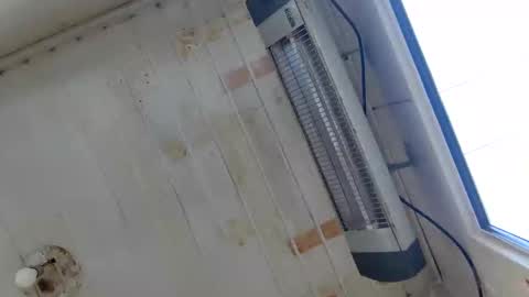 Snapshot of muscularsexybady chatting on September 2025 06:15:02 AM handsome sexy muscular man online show from September 2025 06:15:02 AM