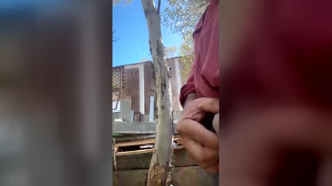 Snapshot of my_cockeye chatting on March 2026 05:13:02 AM my_cockeye online show from March 2026 05:13:02 AM