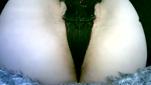 Snapshot of my_tightholes chatting on February 2026 06:50:01 PM my_tightholes online show from February 2026 06:50:01 PM