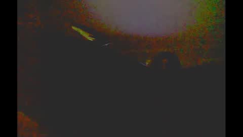Snapshot of myassfatsowhat chatting on January 2025 04:58:02 AM myassfatsowhat online show from January 2025 04:58:02 AM