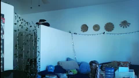 Snapshot of mycock4u247 chatting on March 2025 09:43:02 PM LA MARIPOSA DE MARICOPA online show from March 2025 09:43:02 PM