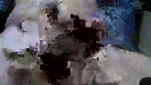 mycock594498 online show from January 2025 03:12:02 PM