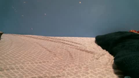 Snapshot of myrraho chatting on February 2025 01:48:02 AM myrrah online show from February 2025 01:48:02 AM