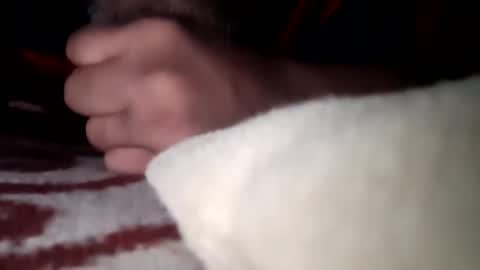 Mysolo1987 online show from January 2026 07:37:02 PM